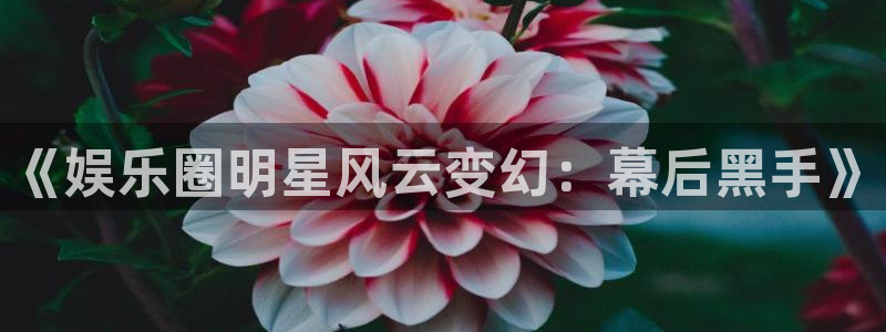 杏宇平台