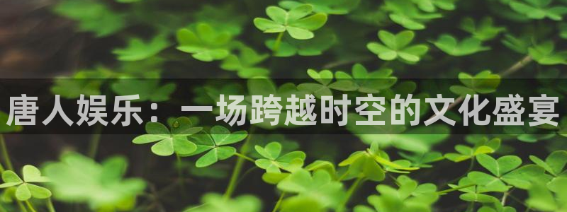 杏宇娱乐