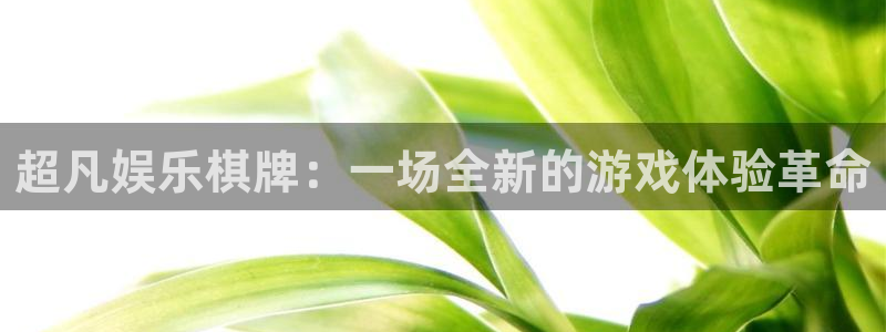 杏宇代理