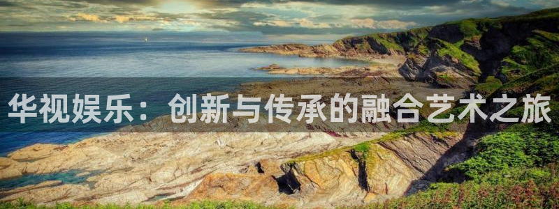 杏宇代理